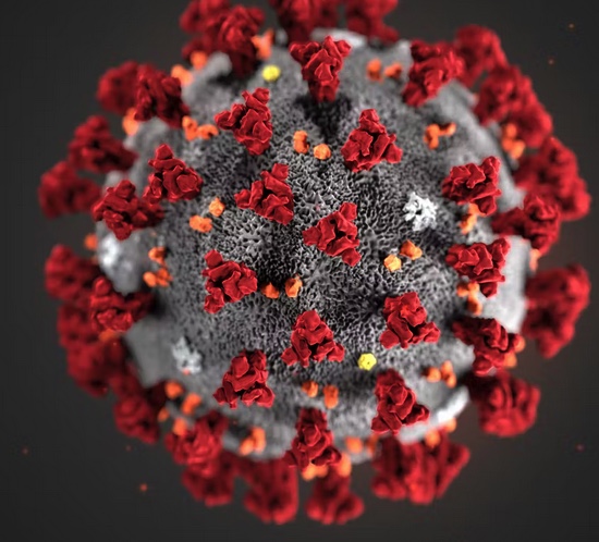 PATHOLOGIE INFECTIEUSE À COVID-19 : VACCINATION