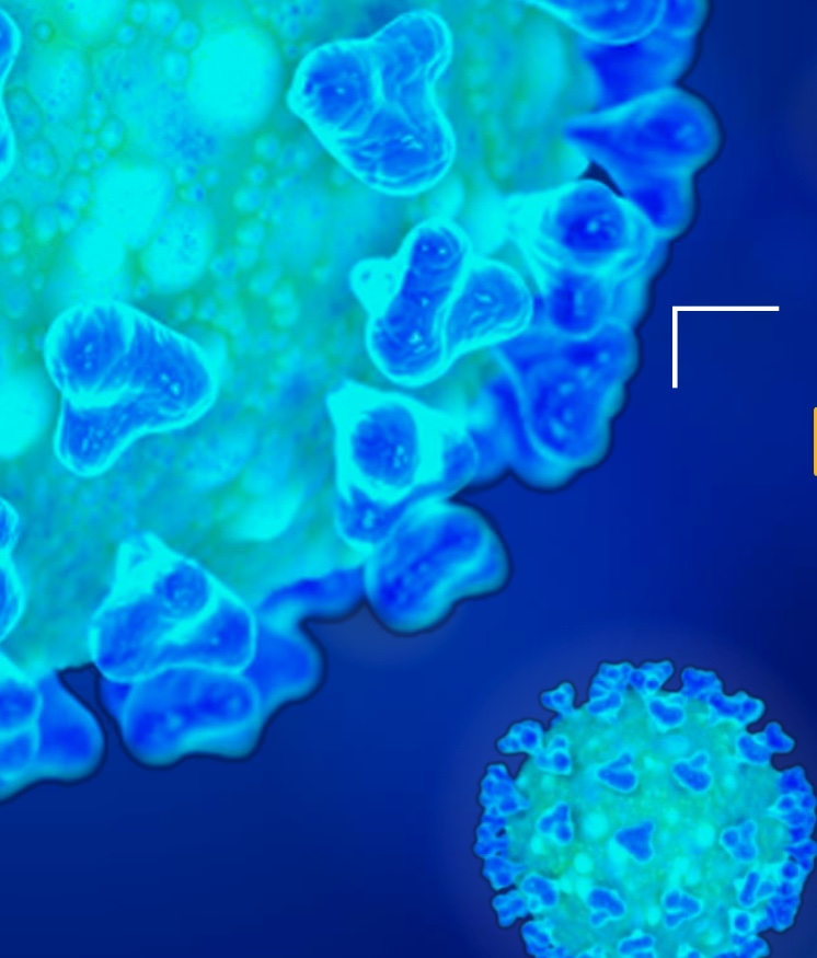 PATHOLOGIE INFECTIEUSE À COVID-19 : VACCINATION – PRESENTATION PPT Dr E. DEVAUD